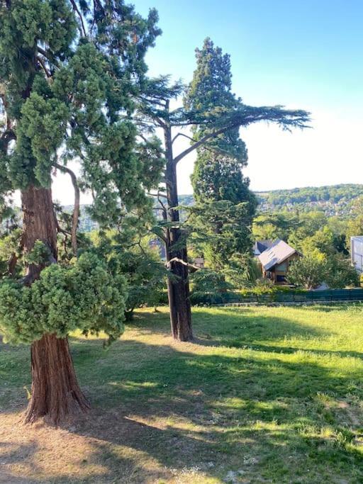Studio Tres Agreable A Chessy Dış mekan fotoğraf